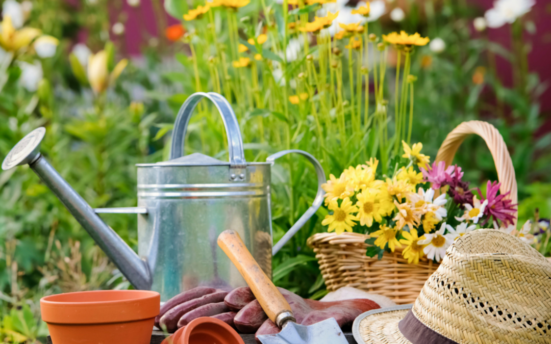 Partnering with Garden Club