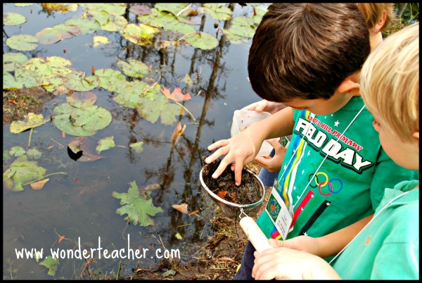Teacher’s Role in Helping Children Experience Flow