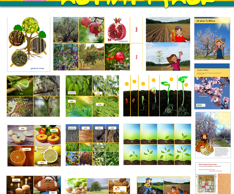 Tu B’Shvat 2020 – Activity Packs & Unit Guide